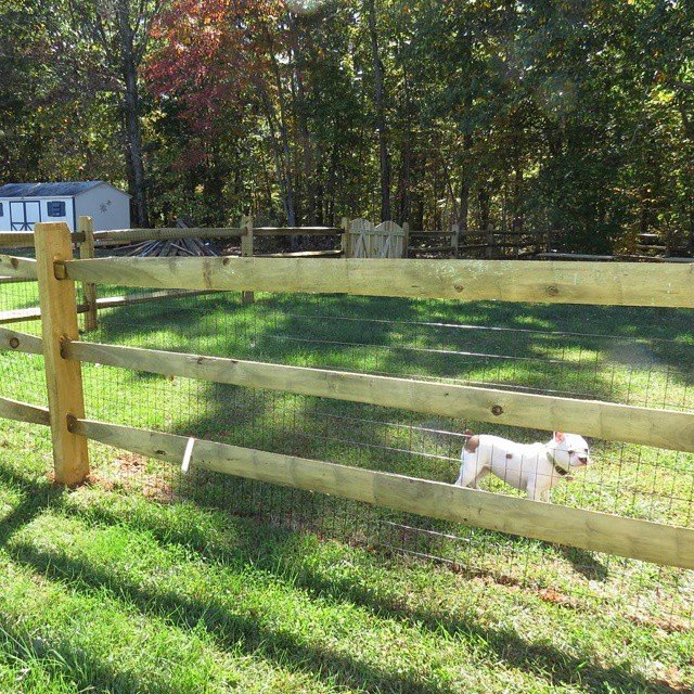 FXBG Fences 4' Split-Rail